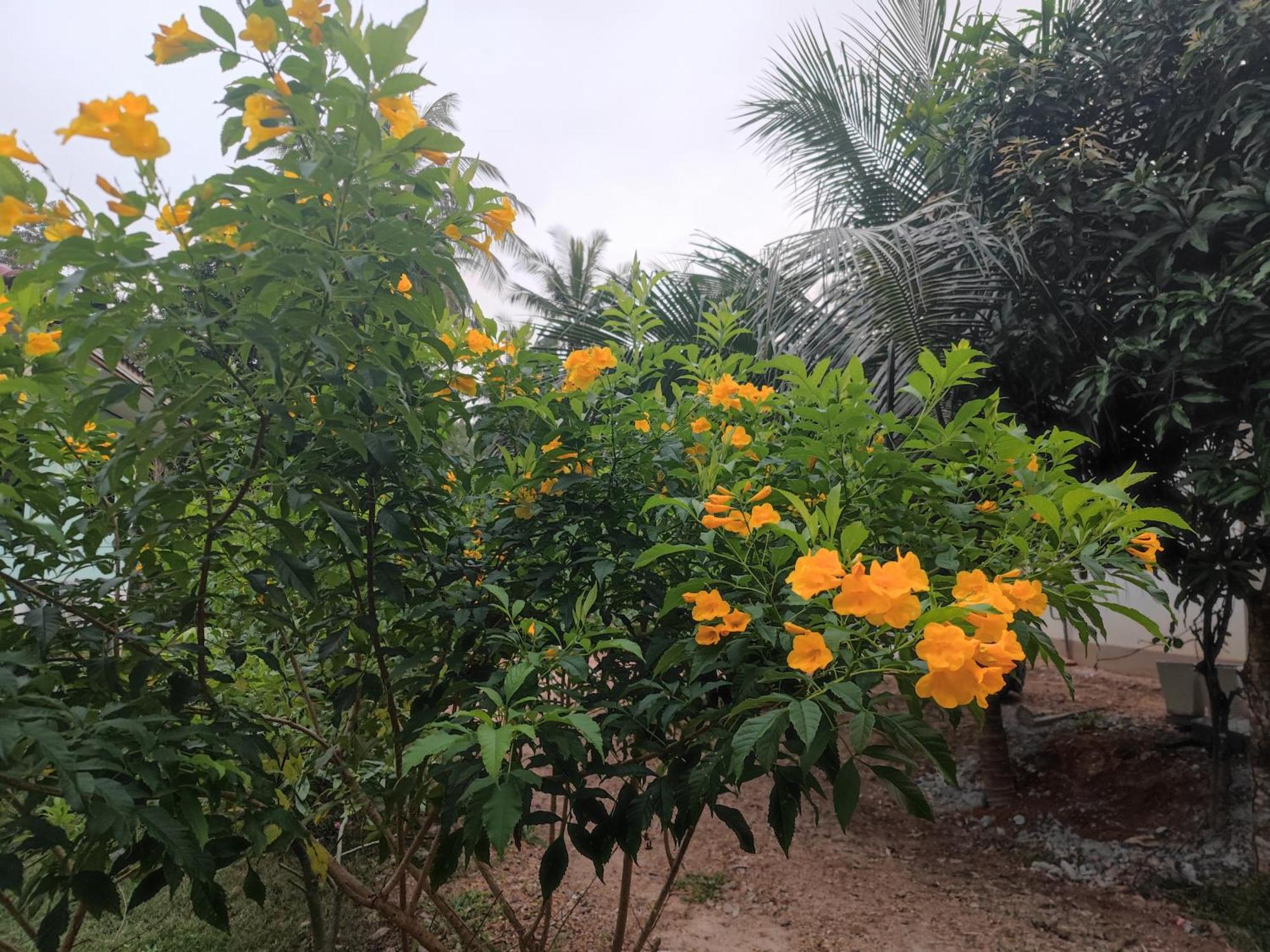 The Secret Garden Homestay Koh Yao Yai Ko Yao Exterior foto